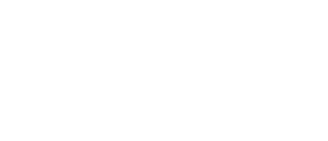 Jubilee Computer Services